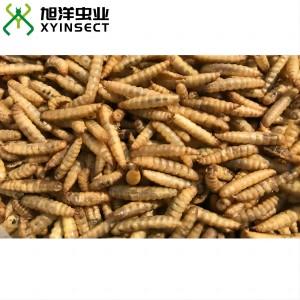 Dried Black Soldier Fly Larvae (BSFL) Bird Feed Reptile Fish Food Dried Black Soldier Fly Larvae (BSFL) Bird Feed Reptile Fish Food