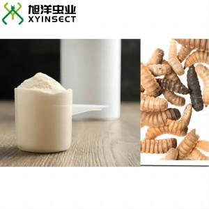 Defatted Black Soldier Fly Larvae Meal BSFL Protein Powder Defatted Black Soldier Fly Larvae Meal BSFL Protein Powder
