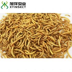 Dried Mealworms Wild Bird Feed Reptile Fish Food Dried Mealworms Wild Bird Feed Reptile Fish Food